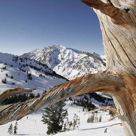 Alta'S Rustler Lodge Bagian luar foto